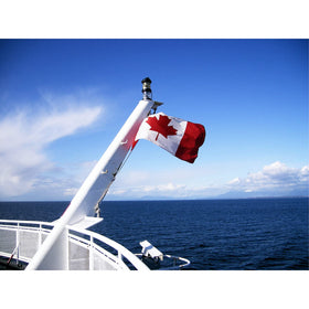 FRF FLAG ideal for ATV, UTV, and golf cart installations.