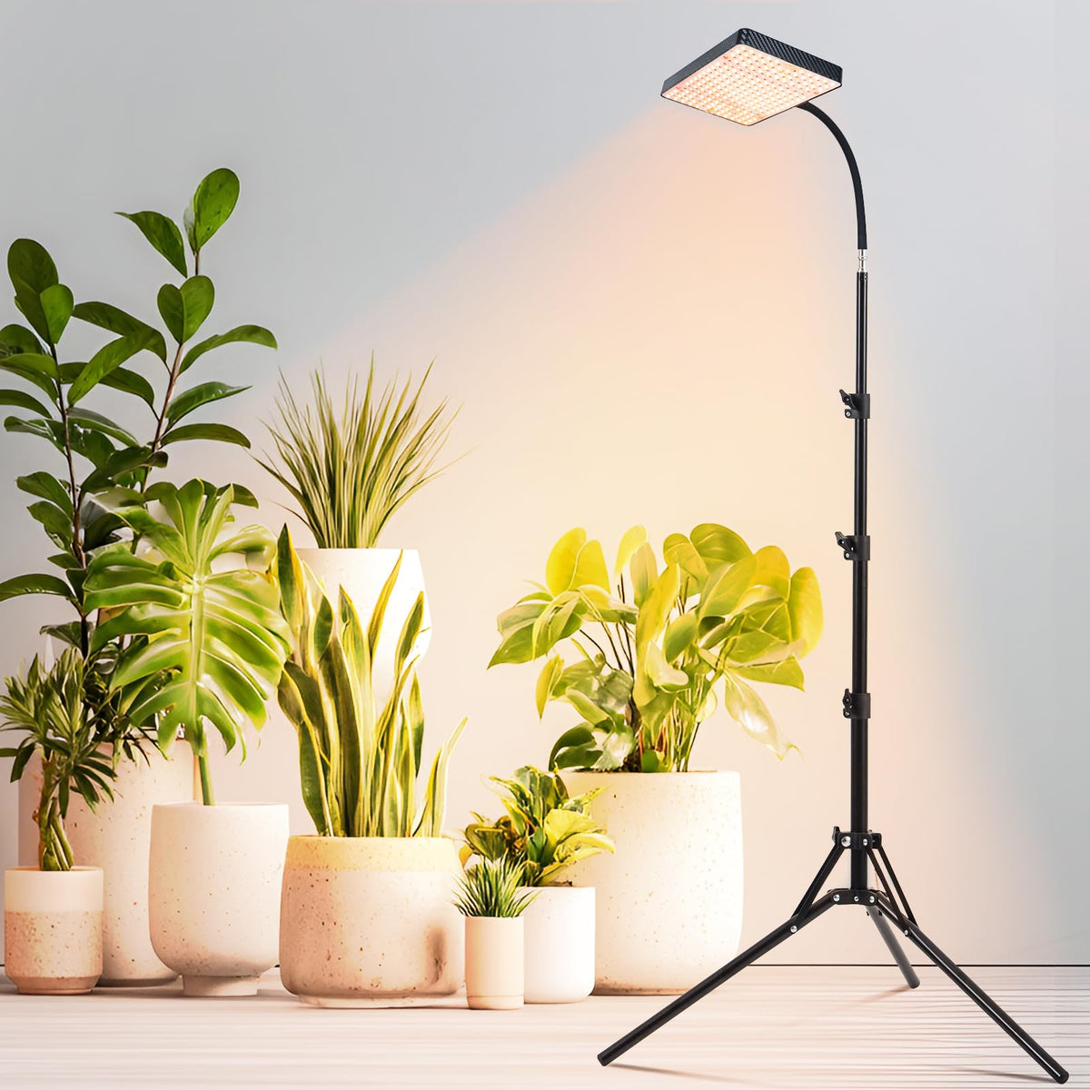 FRGROW 2026 grow light with stand elevating tall indoor plants.