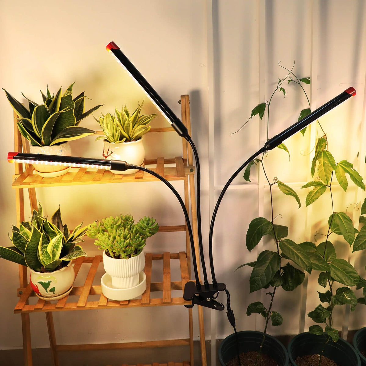 FRGROW clip light provides 3x coverage for multiple pots in a compact setup.