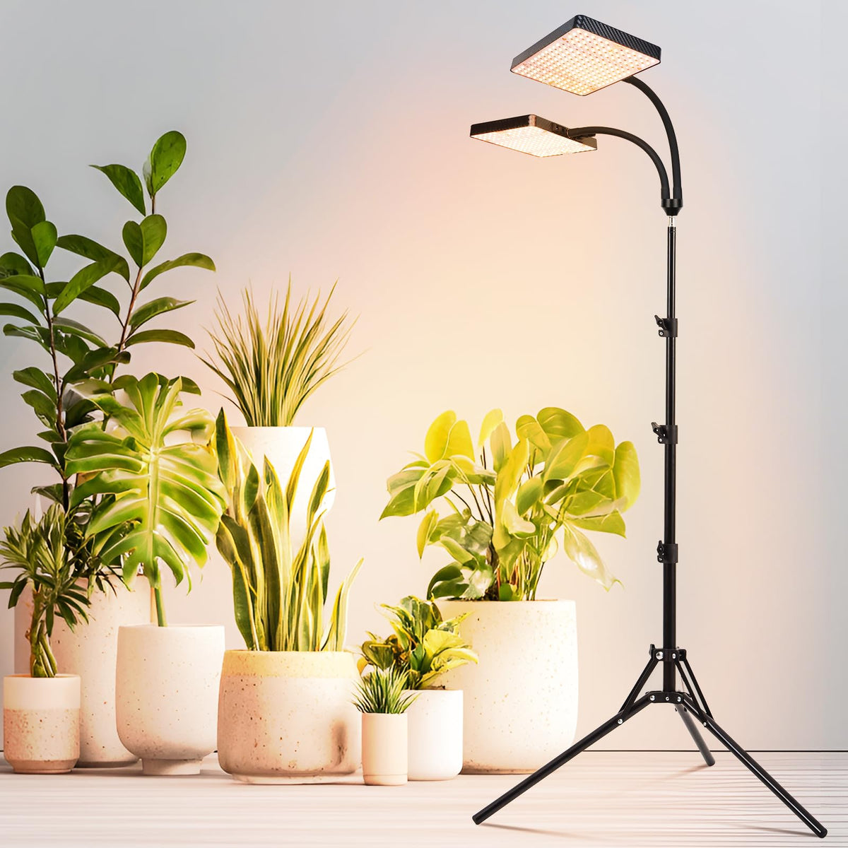 FRGROW bonsai-friendly lighting supports compact indoor trees.
