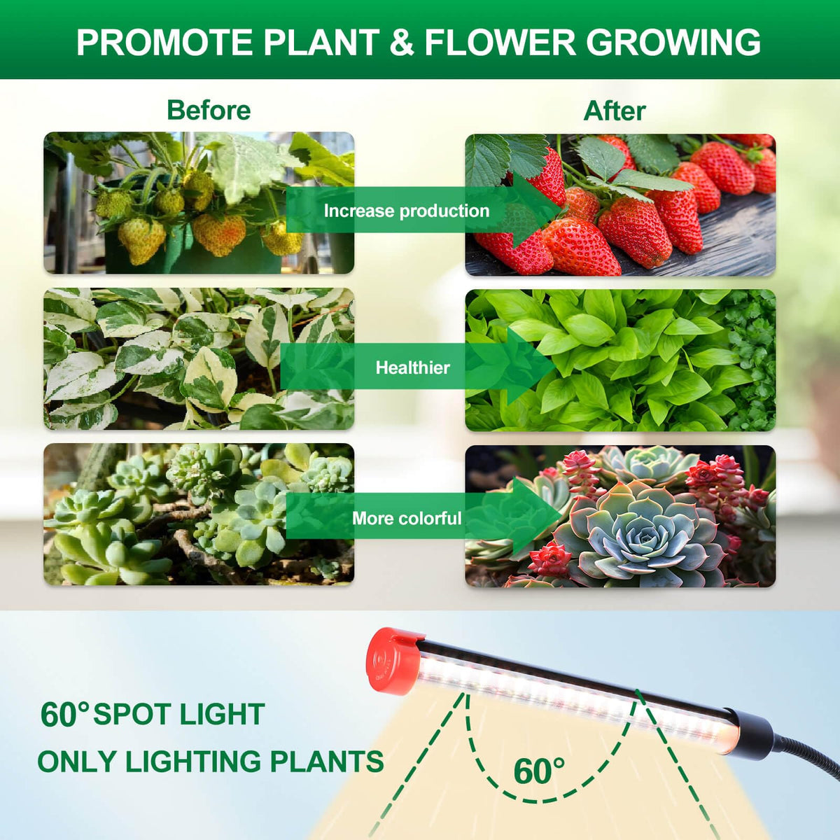 FRGROW full spectrum output gentle on leaves and eyes during long sessions.