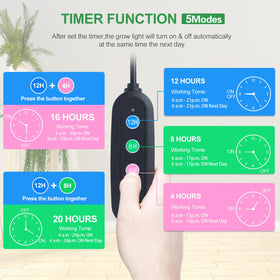 FRGROW timer-equipped light supporting 4/8/12/16/20h schedules for auto care.