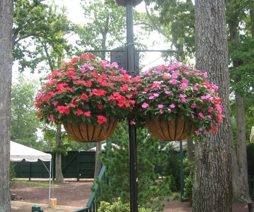 Frillybutts coconut fiber liner fits hanging baskets and window boxes.