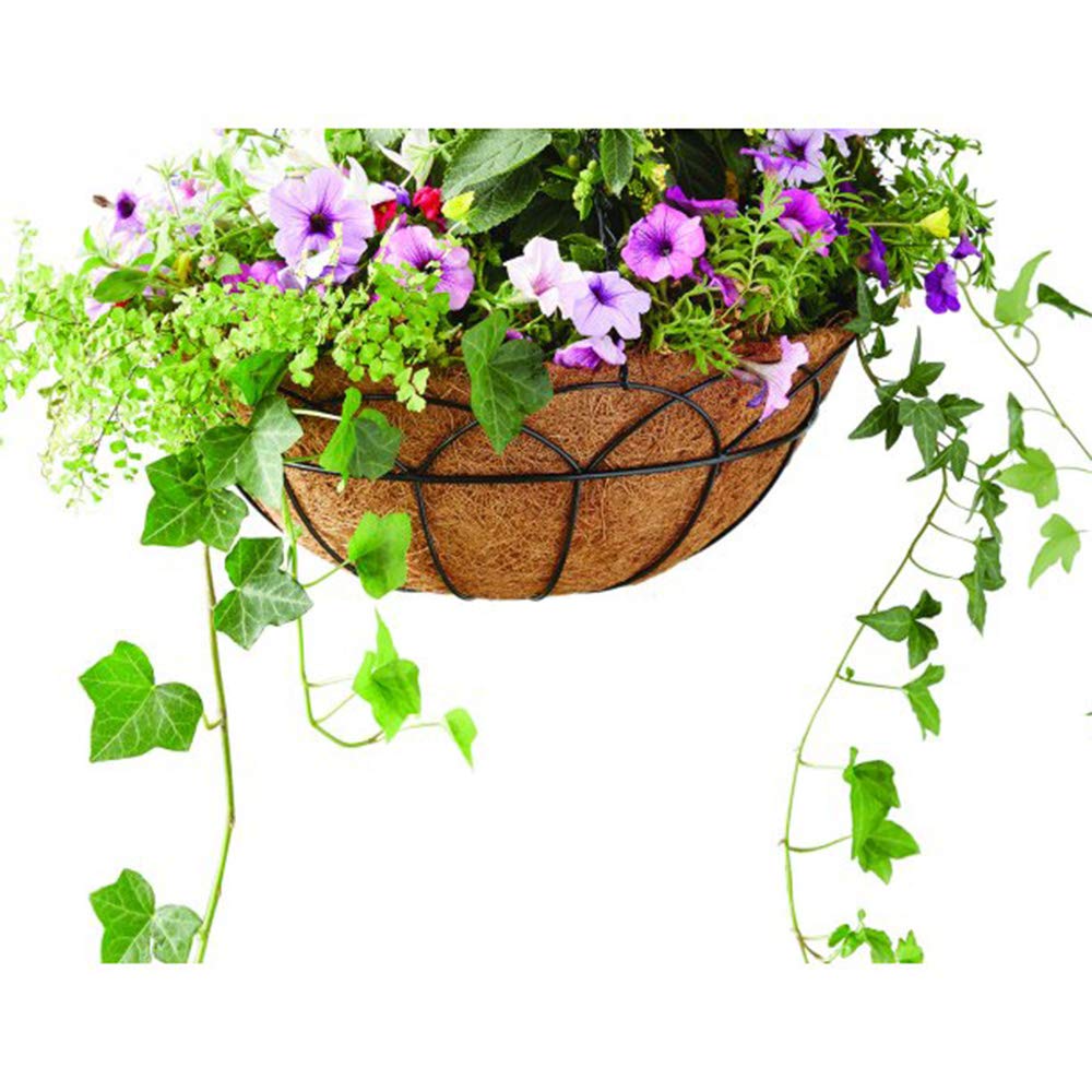 Frillybutts coco liner hanging basket display promotes neat soil