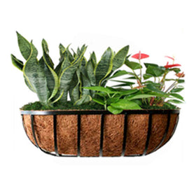 Frillybutts natural coconut fiber liner for 24in planters enhances sustainability.