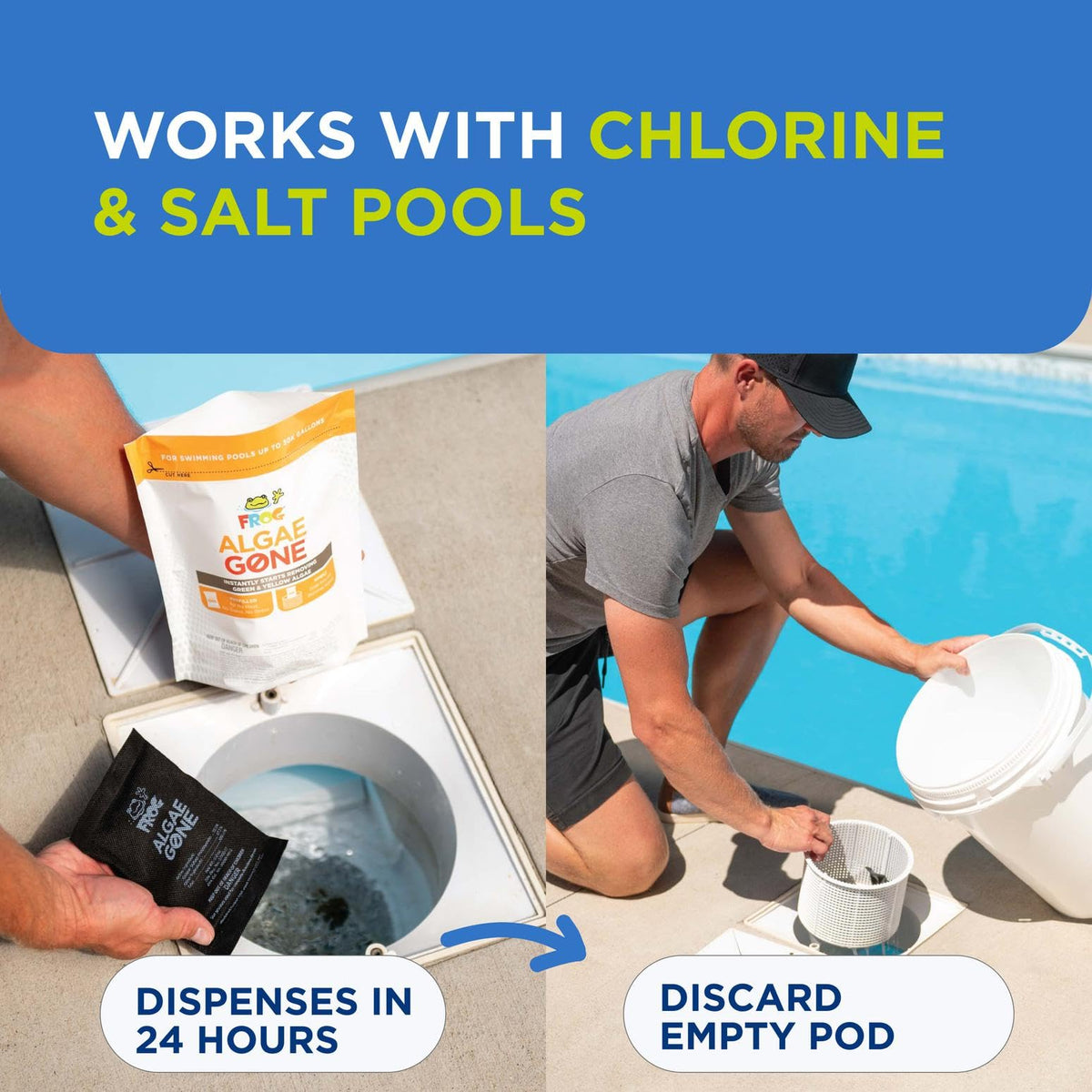 Above-ground pool setup with FROG Algae Gone for versatile care.