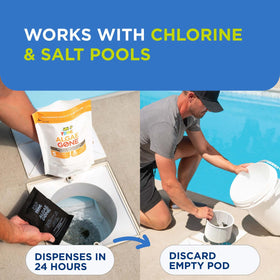 Above-ground pool setup with FROG Algae Gone for versatile care.