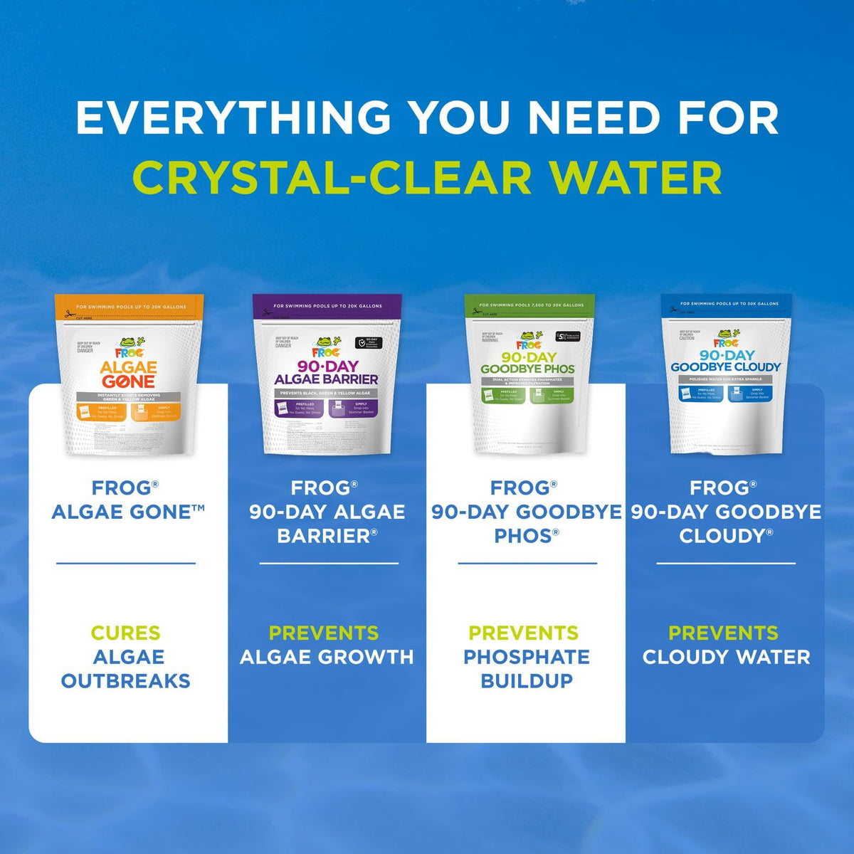 In-ground pool setup with FROG Algae Gone for effective algae management.