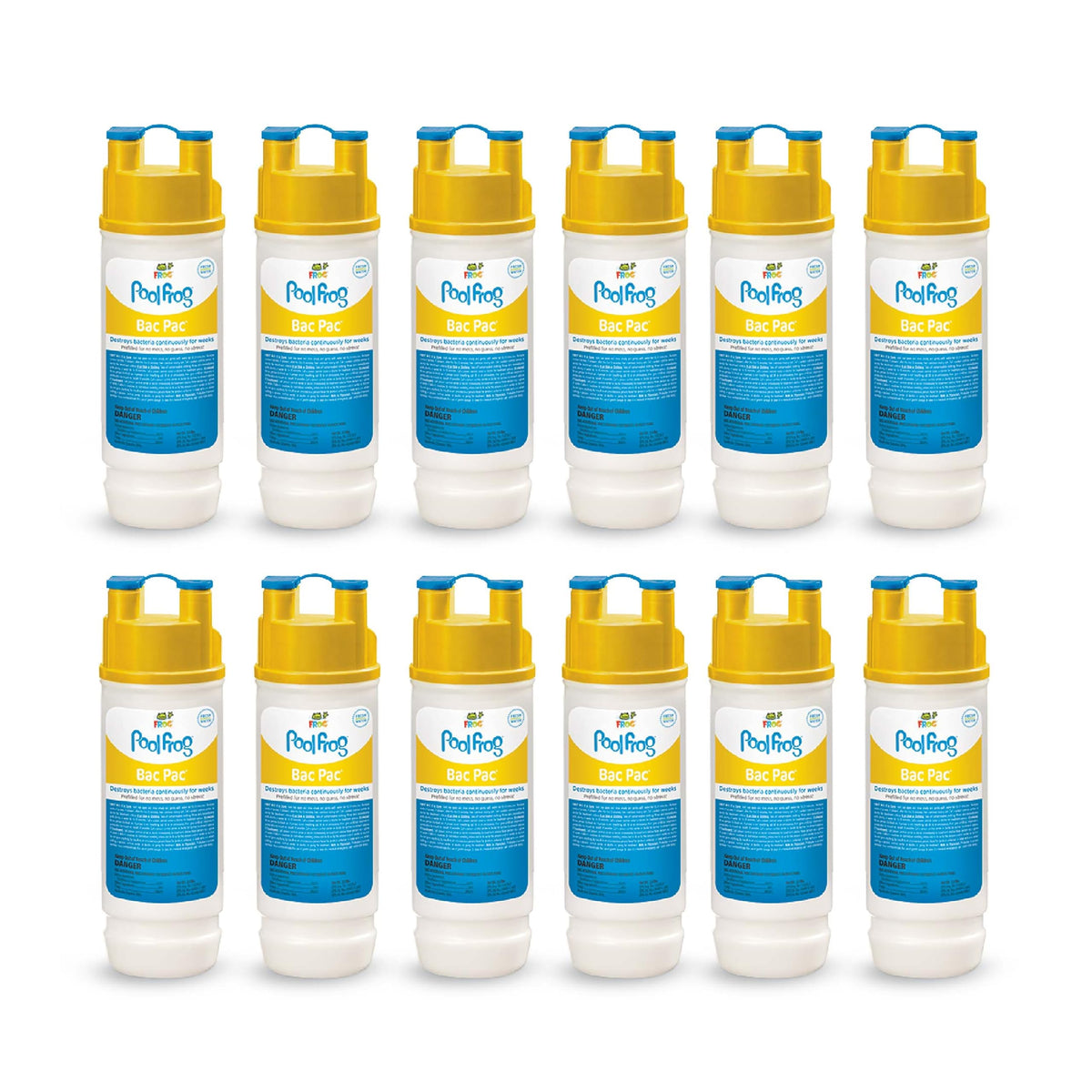 FROG Bac Pac 12-pack packaging shows an easy pool care solution.