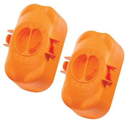 FROG replacement chlorine cartridge two-pack ready for pool sanitization