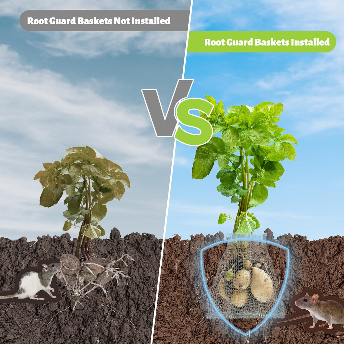 Froidesente root netting basket use guide demonstrates easy installation.