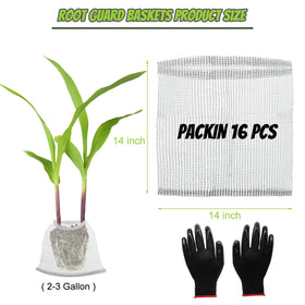 Froidesente stainless steel mesh basket shows durable, rust-resistant construction.