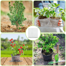 Froidesente usage guide showing how to place the root netting basket.