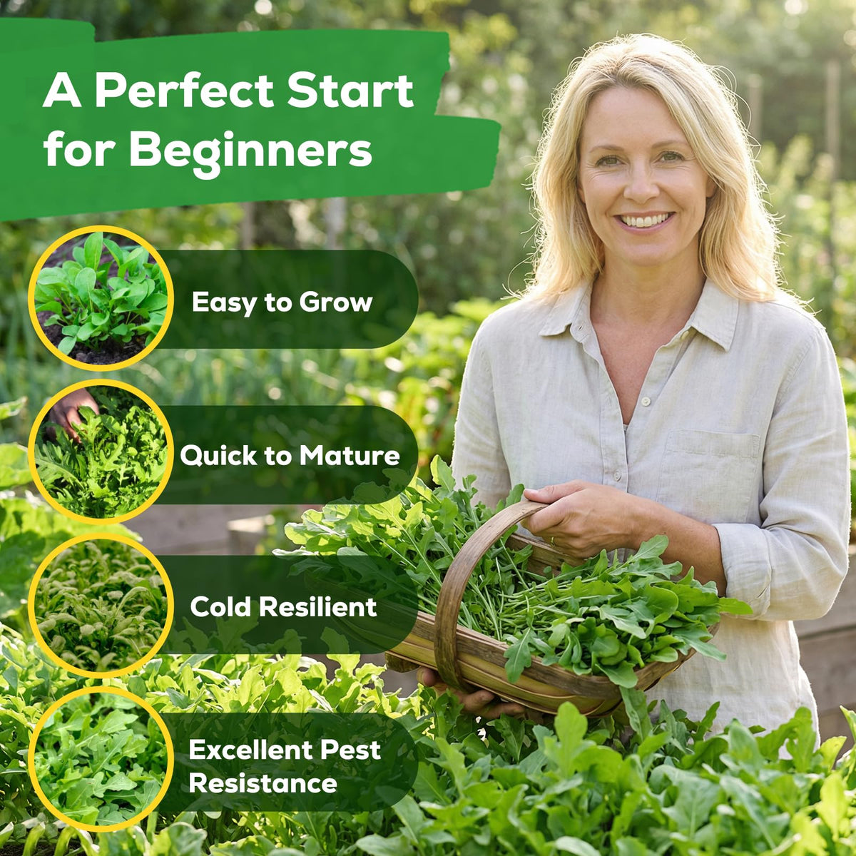 Fruivity arugula seeds cut-and-come-again for nonstop yields in small spaces