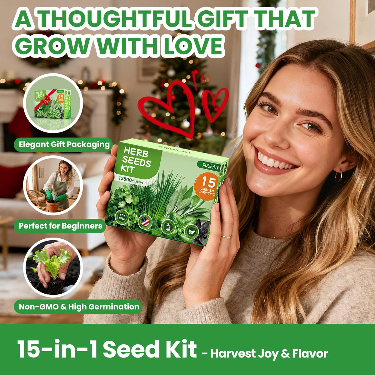 Fruivity biodegradable pot set organized for a compact indoor garden.