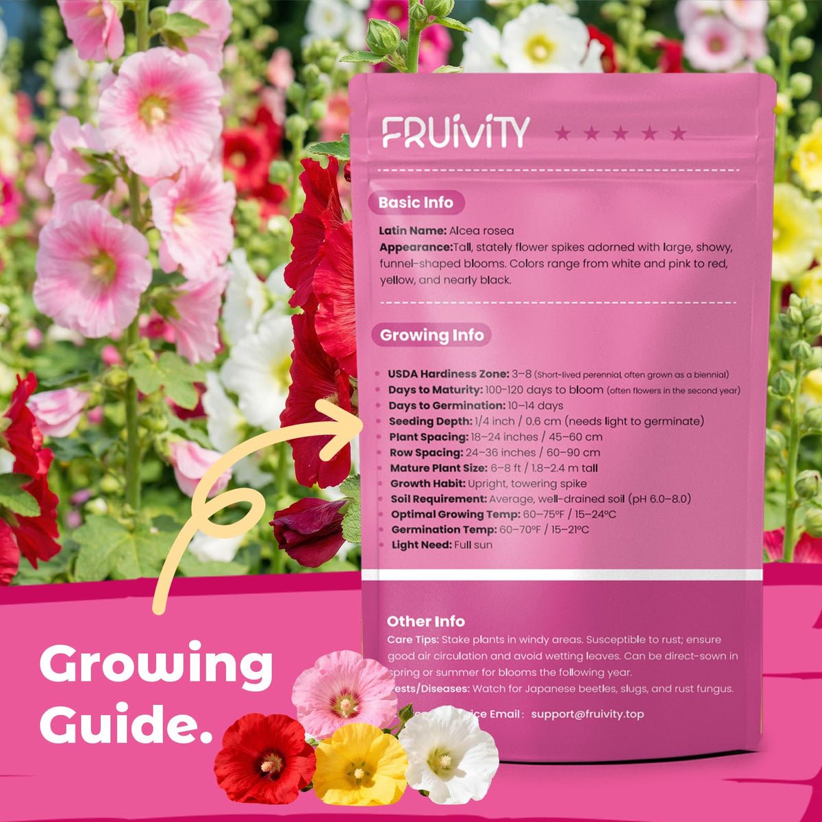 Fruivity hollyhock seeds showcase tall stems for backyard vertical garden interest