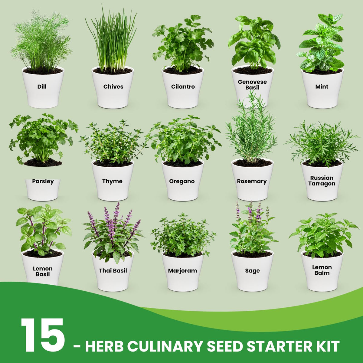 Fruivity indoor herb garden setup on a sunny windowsill for fresh cooking herbs.