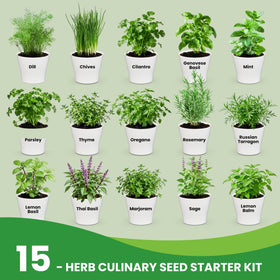 Fruivity indoor herb garden setup on a sunny windowsill for fresh cooking herbs.