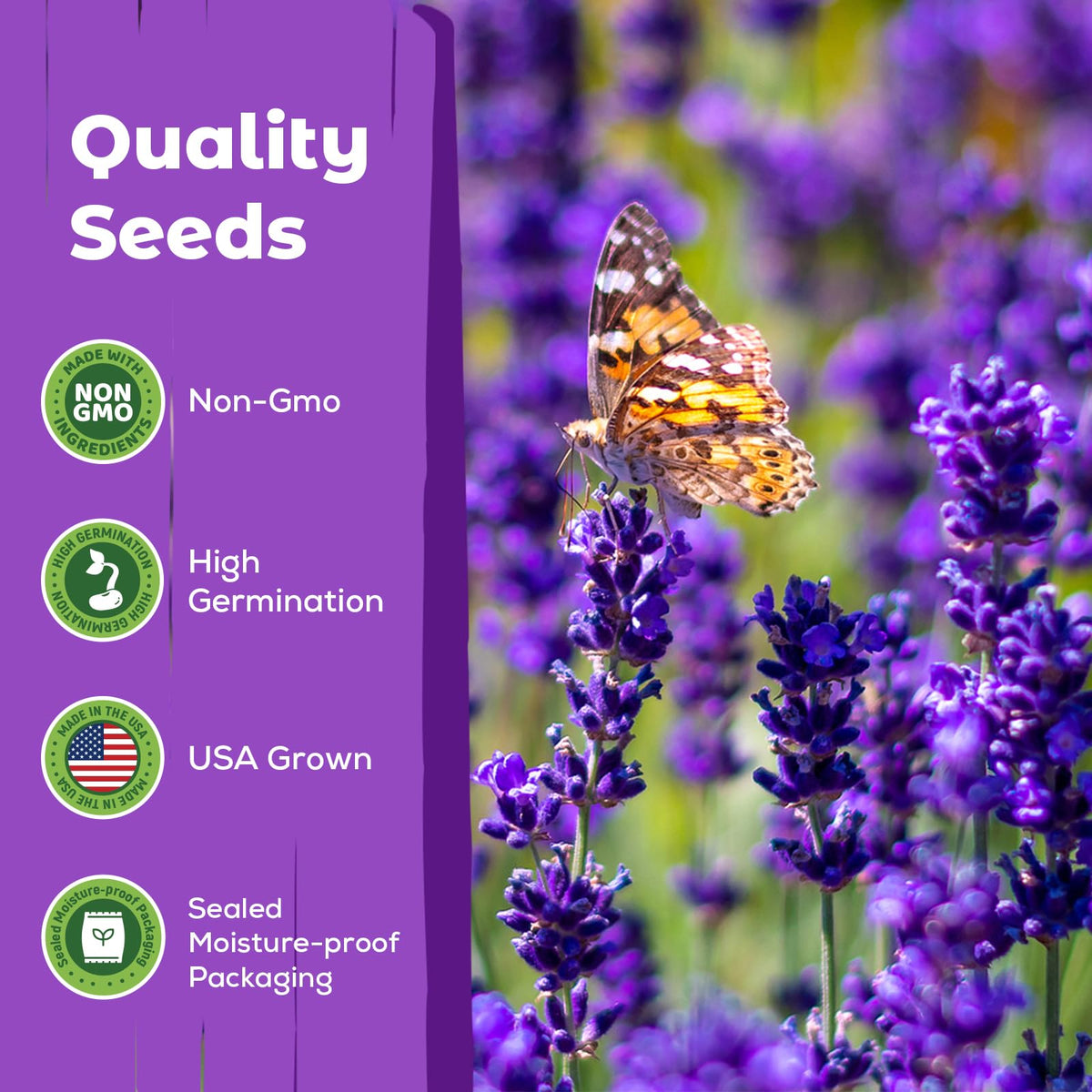Fruivity lavender seeds drought-tolerant for low-maintenance landscapes.