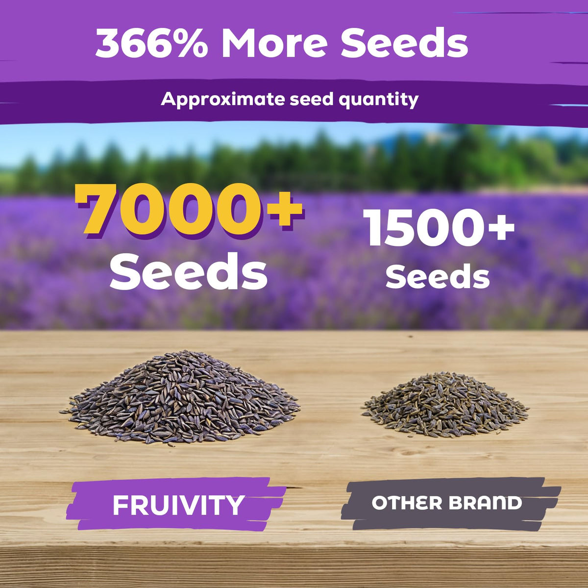 Fruivity lavender seeds indoors setup with starter tray.