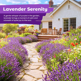 Fruivity lavender seeds package open showing abundant heirloom seeds for gardens.