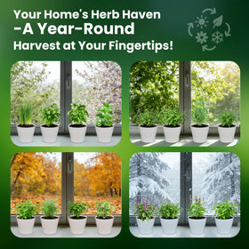 Fruivity nutrient-rich soil with plant markers ready for herb planting.