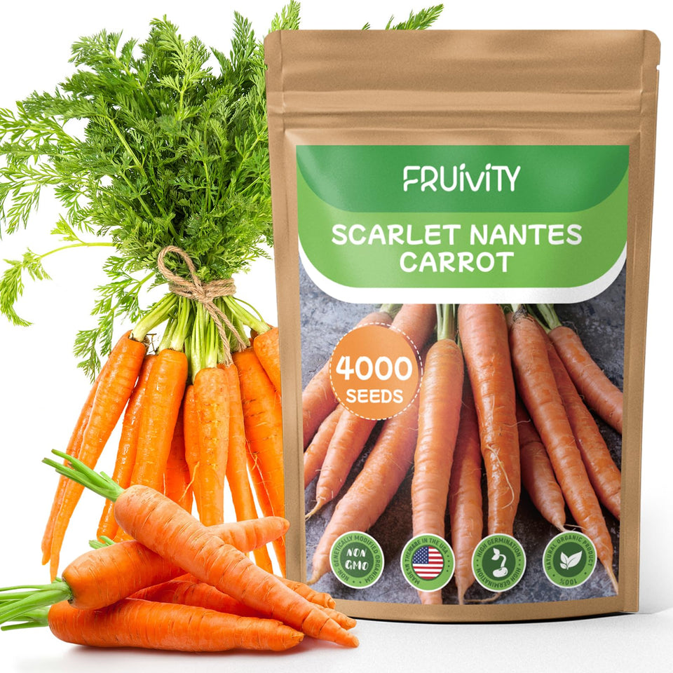 Fruivity Scarlet Nante carrot seeds pack ideal for home gardens and continuous sowing.