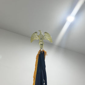 Frunke bright golden colors highlight banners and enhance room décor.
