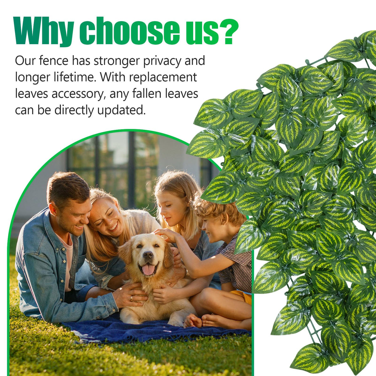 FRURIPPY HDPE UV-stable ivy screen withstands harsh outdoor conditions.