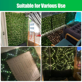 FRURIPPY maintenance-free hedge for year-round garden ambiance.