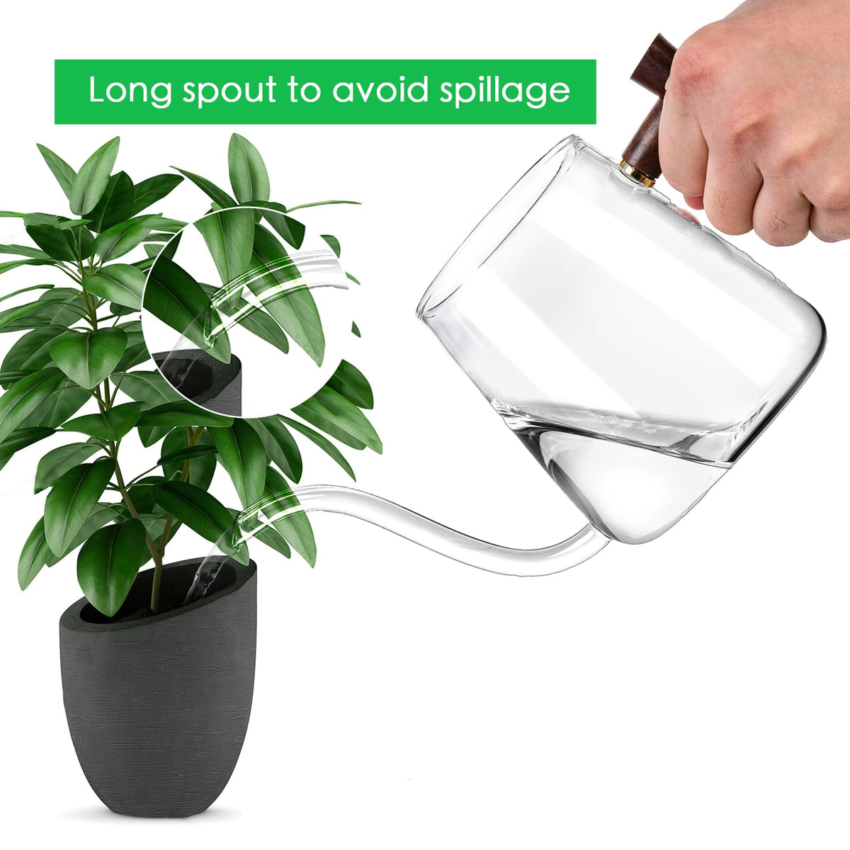 FrutPunch long curved spout enables precise indoor watering for plants.