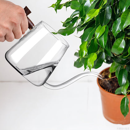 FrutPunch 27 oz glass watering can with long curved spout for precise indoor watering.