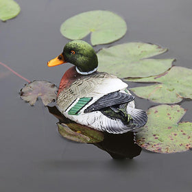 Frymmx fake Mandarin ducks for backyard decoration and playful accents