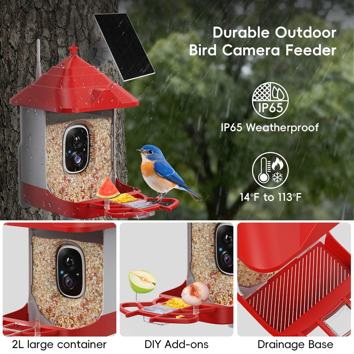Frzgat 4K night vision captures vivid birds day and night
