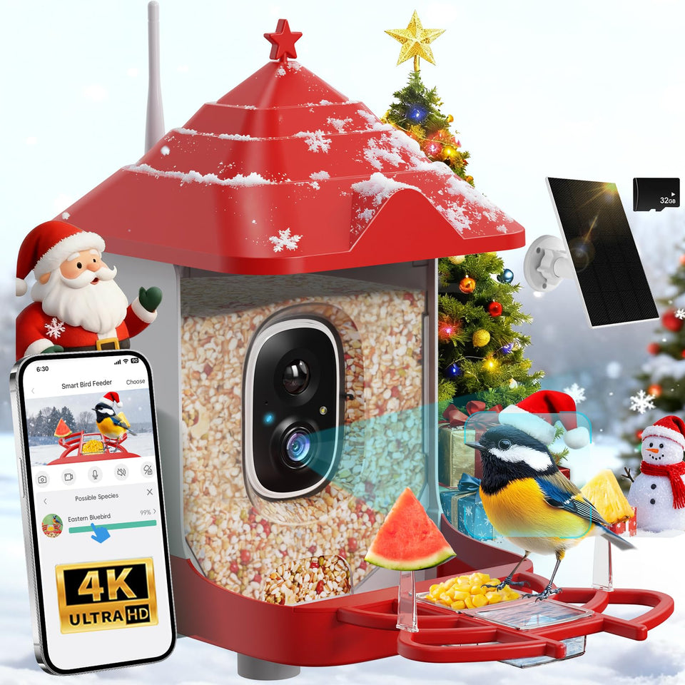Frzgat Smart Bird Feeder camera view enables real time watching and AI ID