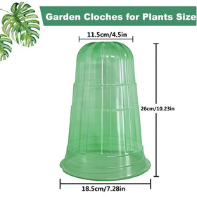 Fshow bird and snail shield guards delicate foliage.