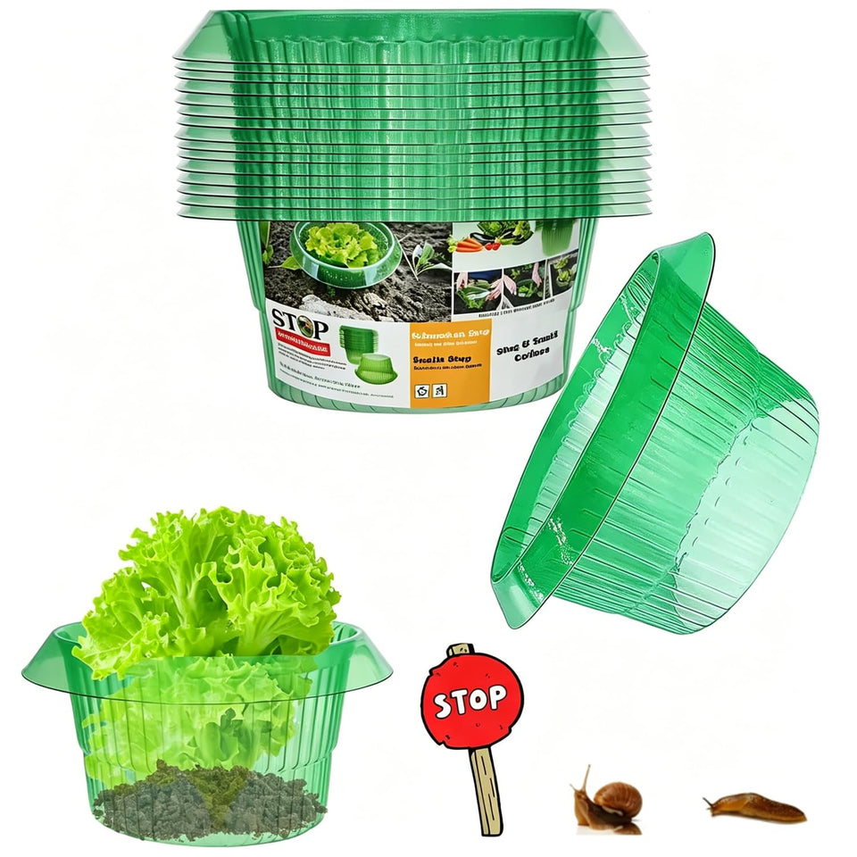 Fshow garden cloches with snail collars on a plant offer chemical-free protection.