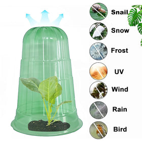 Fshow slug collar compatible plant protector guarding young plants.