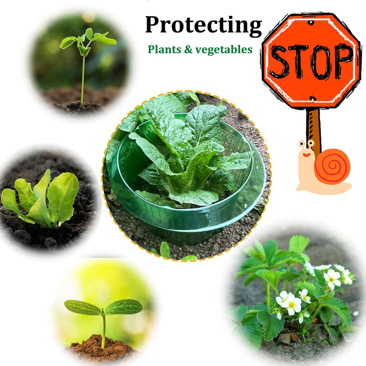 Fshow weather-proof snail barrier supports year-round garden use.