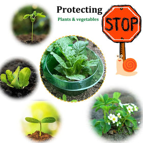 Fshow weather-proof snail barrier supports year-round garden use.
