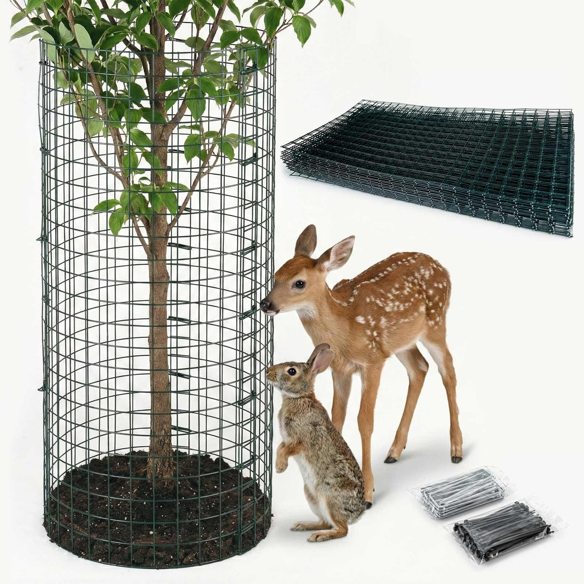 FTLKIBMD 8-pack extra tall plant protectors shield shrubs and trees from animals