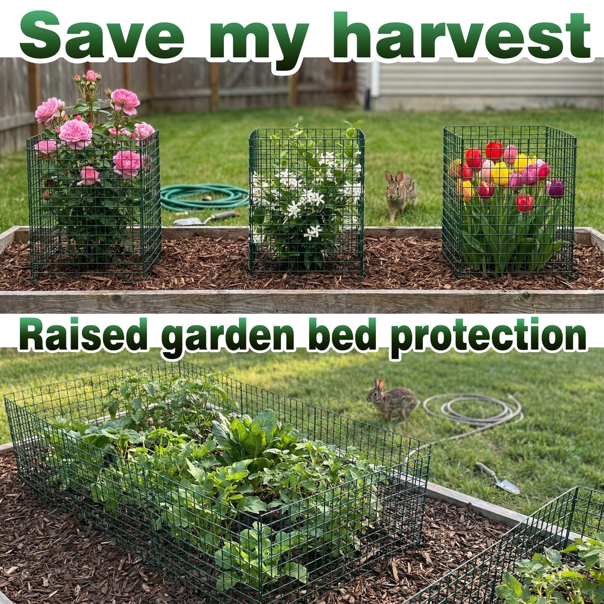 FTLKIBMD tall plant cages help protect flowers and saplings from roaming animals