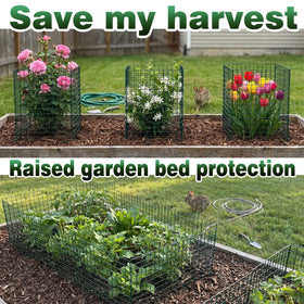 FTLKIBMD tall plant cages help protect flowers and saplings from roaming animals