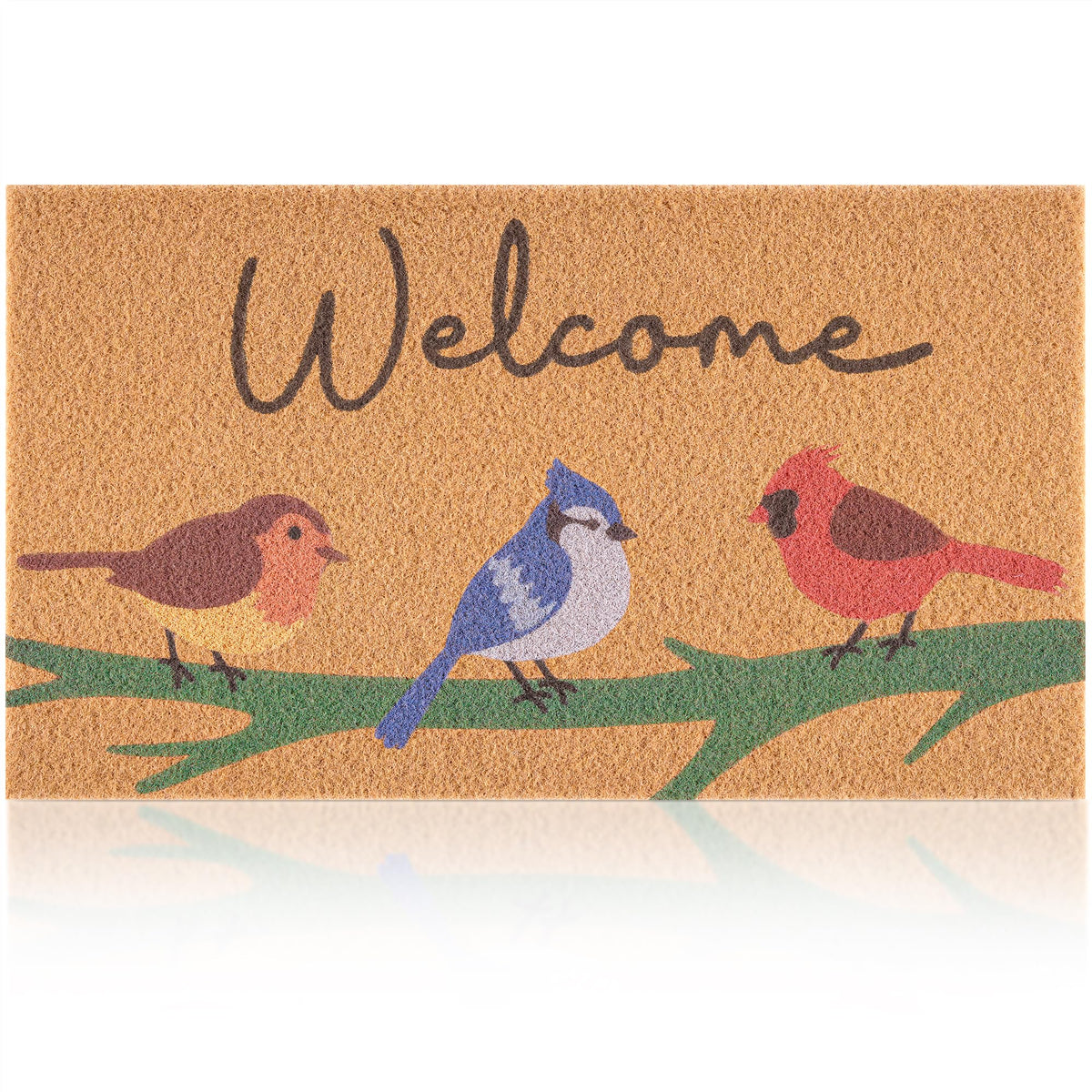 Fttoyoly spring door mat with birds on a branch welcomes guests at the entry