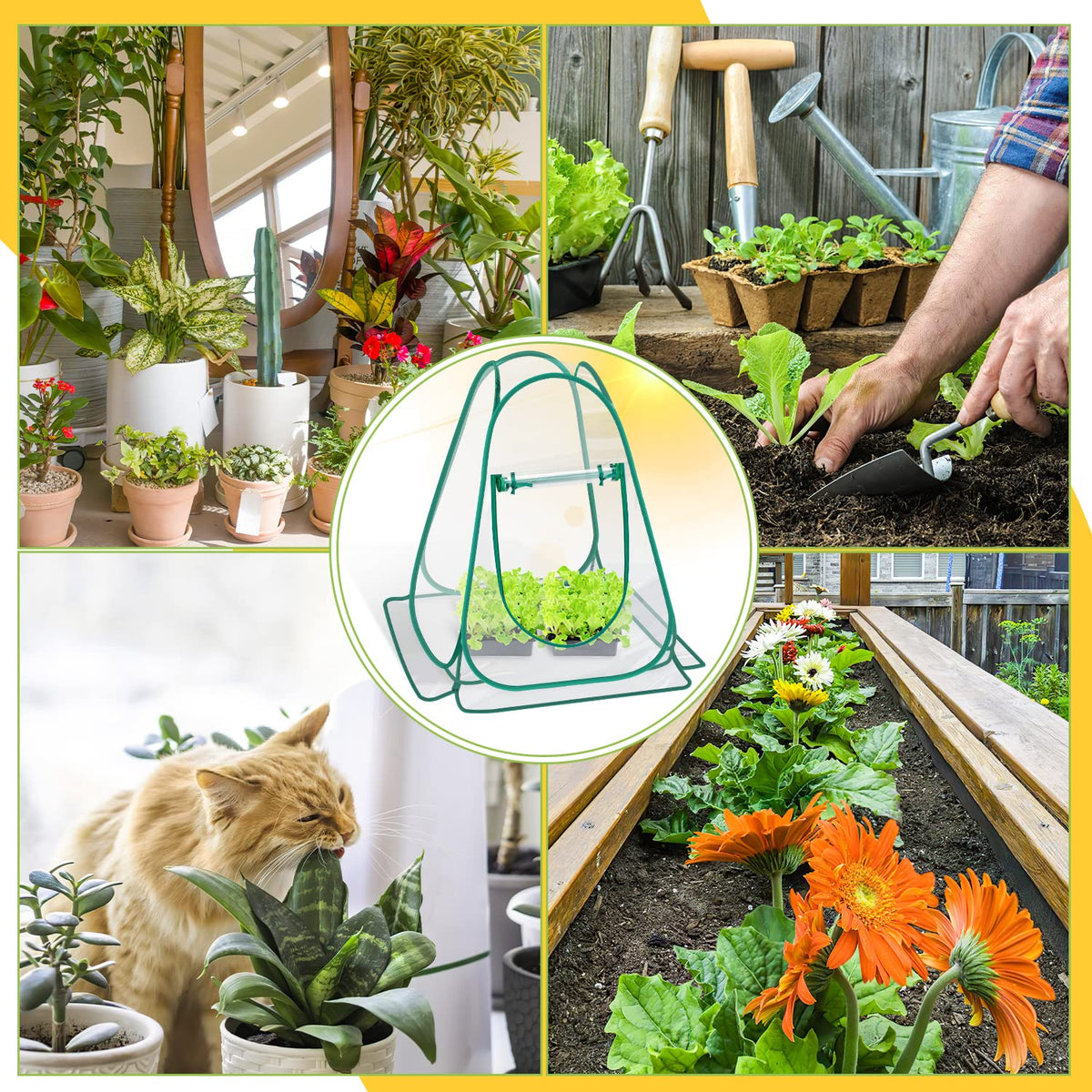 Fuairmee indoor-outdoor use supporting flowers and herbs anywhere