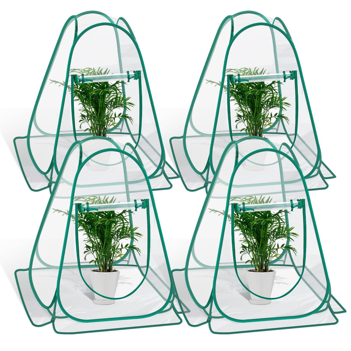 Fuairmee pop-up greenhouse cover setup showing quick deployment for outdoor gardening