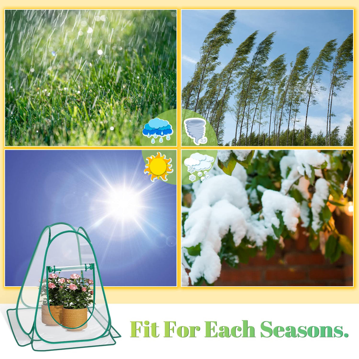 Fuairmee PVC transparent cover provides abundant sunlight for thriving plants