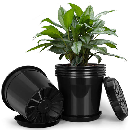 FUIJOL 3-gallon pot with tray for clean indoor drainage.