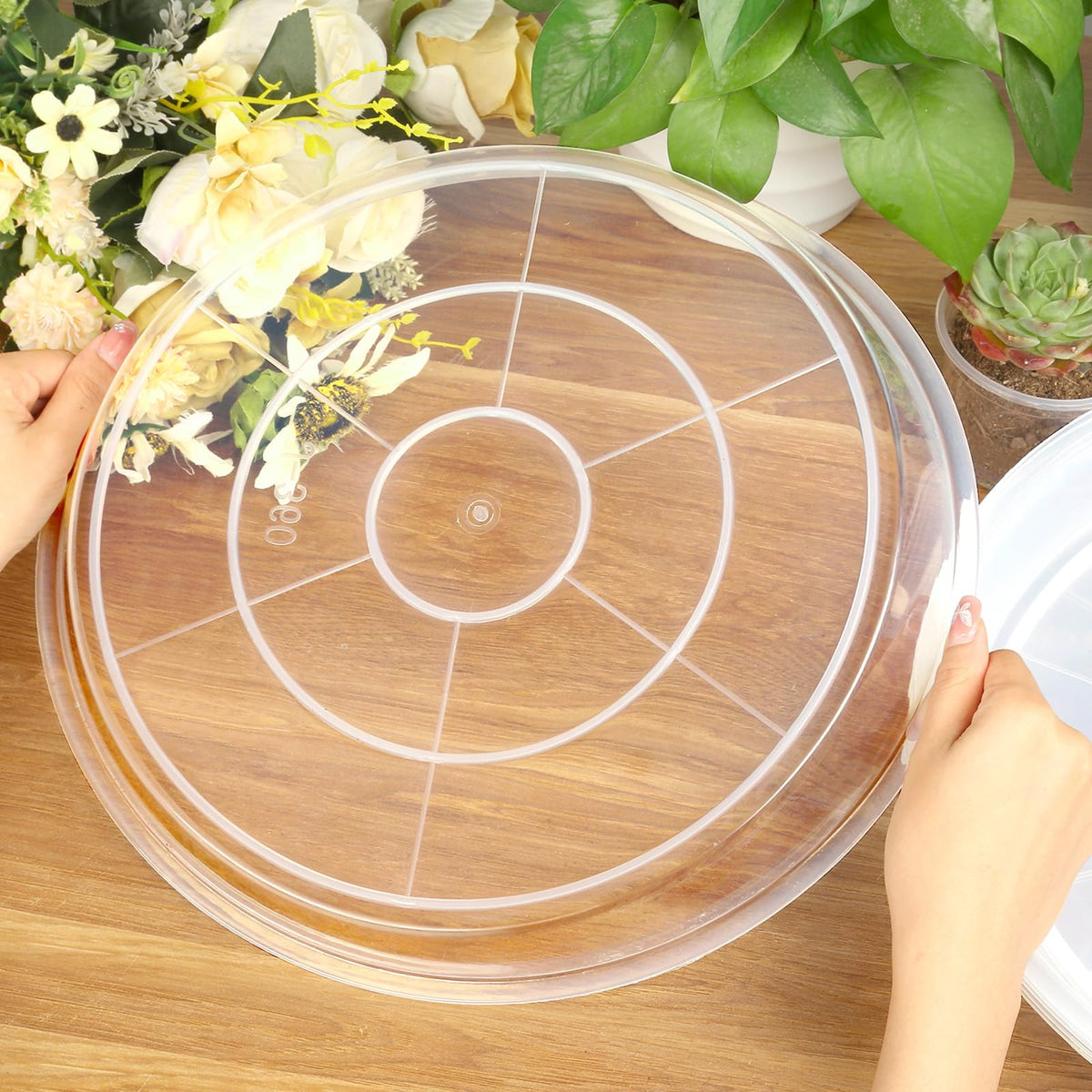 FUIJOL 6-inch plant saucer diameter suited for multiple pots.