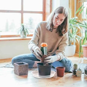 FUIJOL durable plastic plant tray designed for long-term reuse.